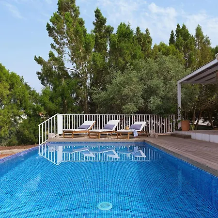 Orchard * Protaras